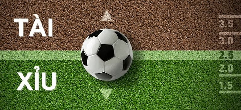 Cần đọc kèo chuẩn để biết mình được hay mất tiền cược